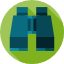 Icon Visão